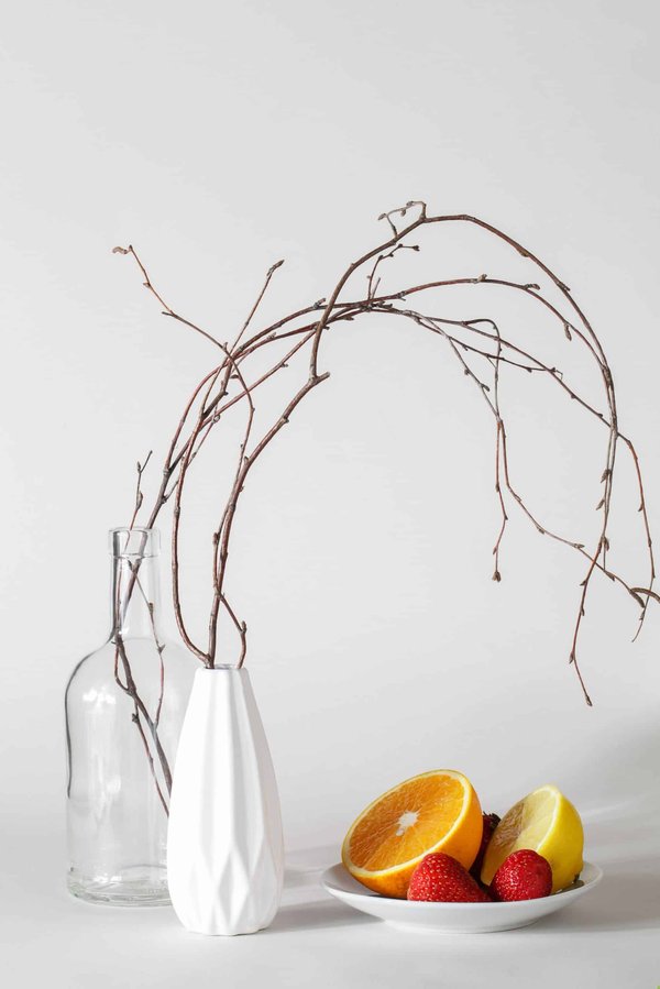 Quelles sont les méthodes pour renforcer l'immunité d'un chat Devon Rex après une maladie ?